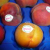 Fruit Labeling with EQM Industrial