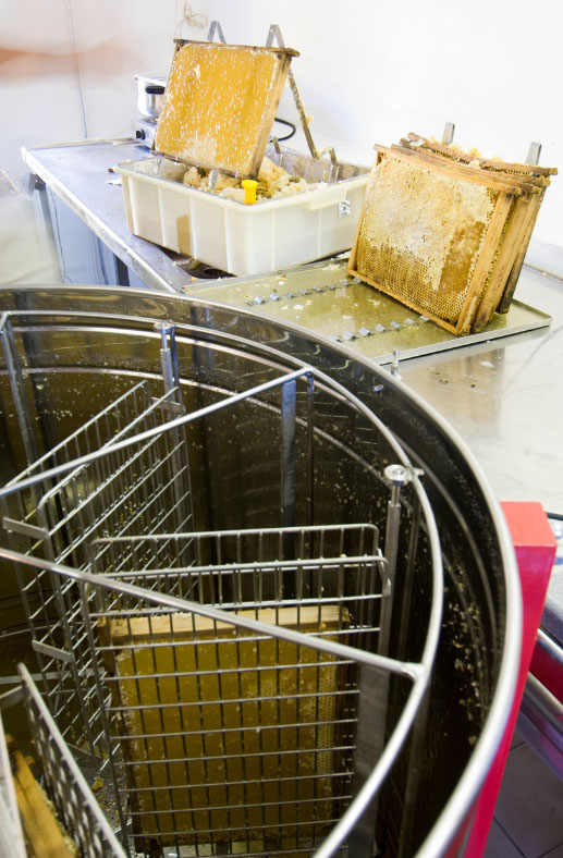honey processing with stm gearboxes & motors