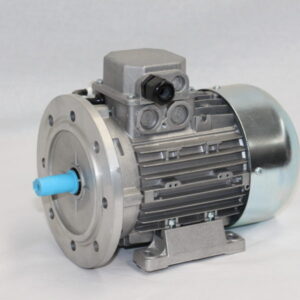 1 & 3 Phase Electric Motors
