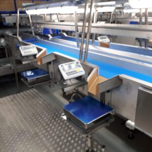 Box filling by EQM Industrial
