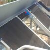 Bark-gets-sorted-with-EQM-e1605047796228