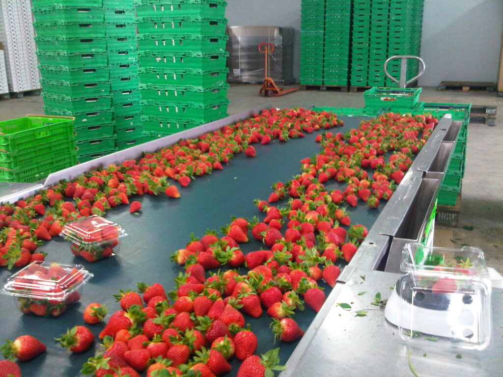 It’s-The-Know-How-That-Counts