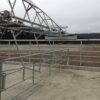 Milking-stops-for-nothing