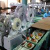 Rapt-With-Performance-Reliability