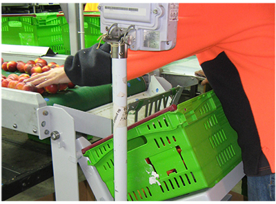 Tailored-Crate-Filler-Stacks-Up