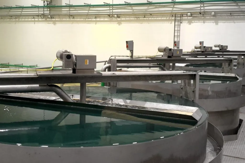 Aquaculture and Seafood Processing Motors & Gearboxes