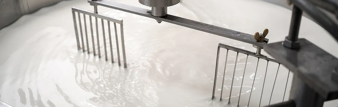 Dairy Processing Components NZ