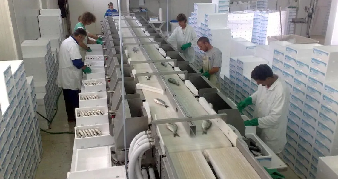 Aquaculture and Seafood Processing NZ