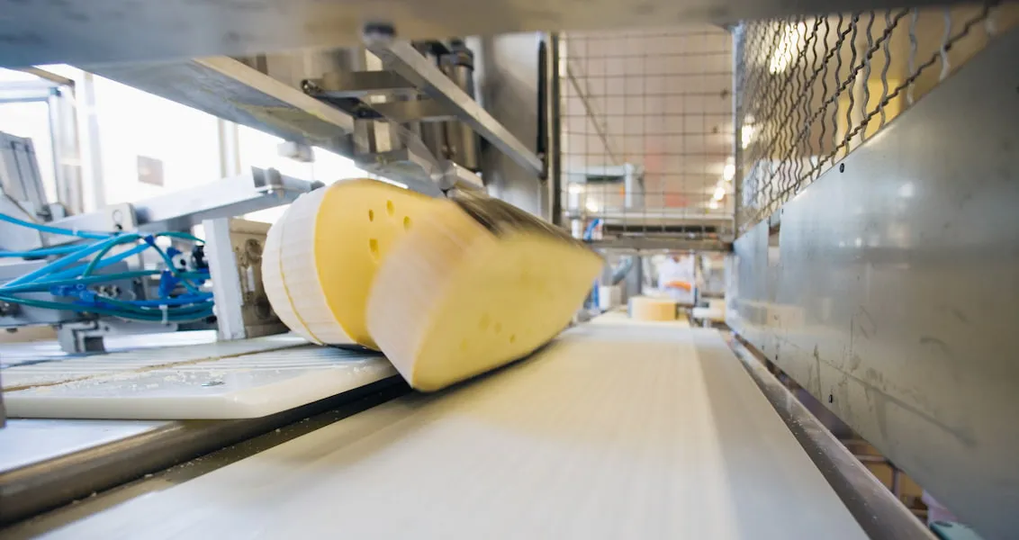 Dairy Processing Motors & Gearboxes