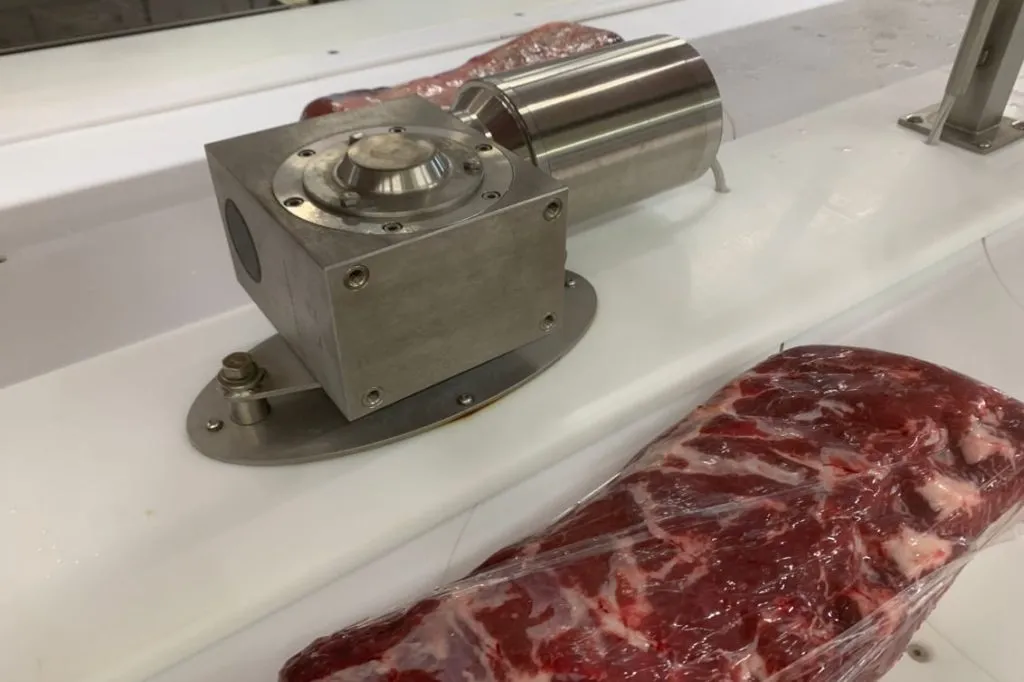 Meat and Poultry Processing