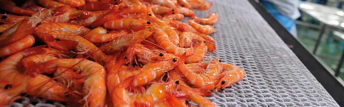 Seafood Processing Components NZ