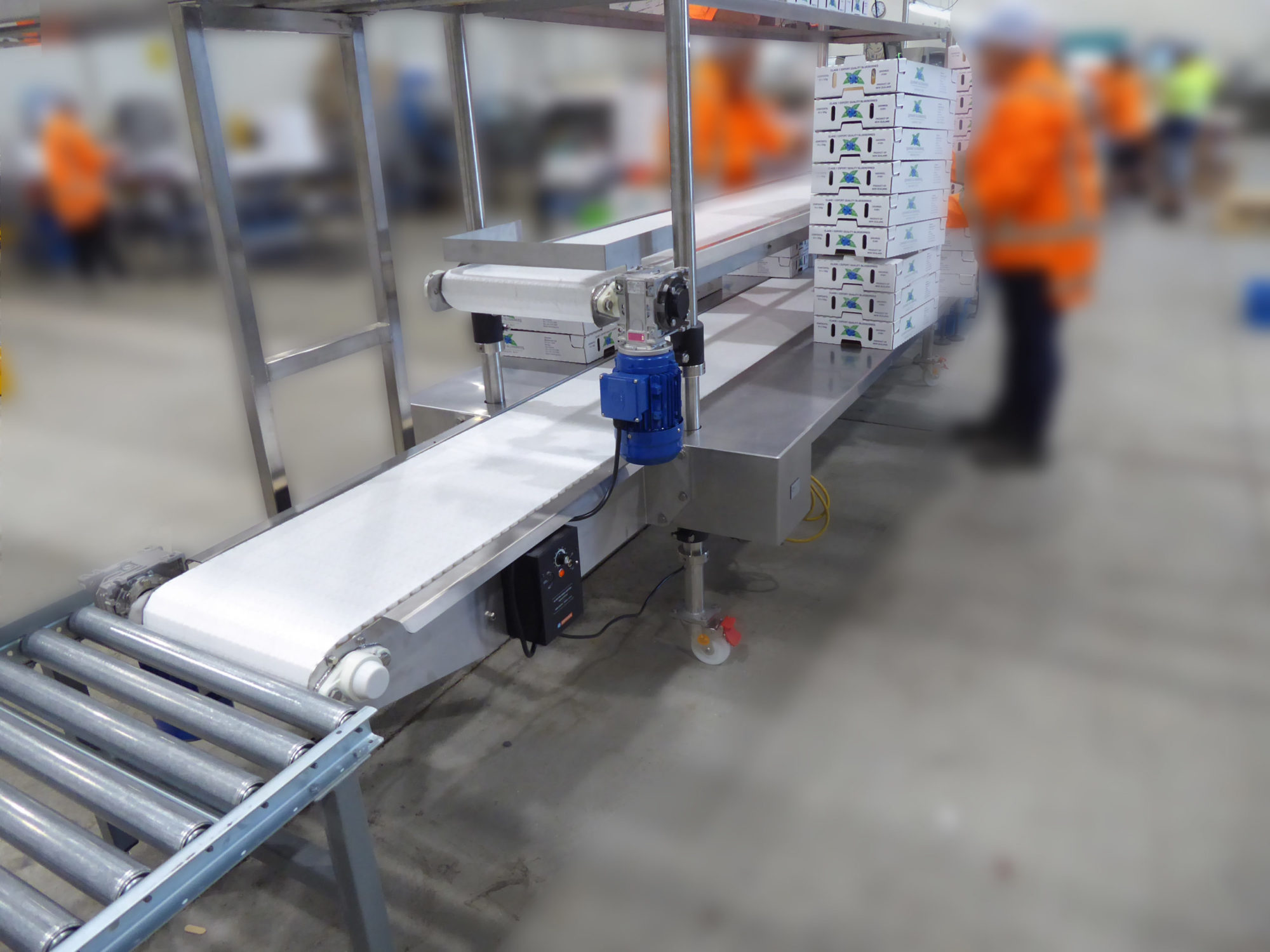 Blueberry packing facility increases productivity - EQM Industrial NZ